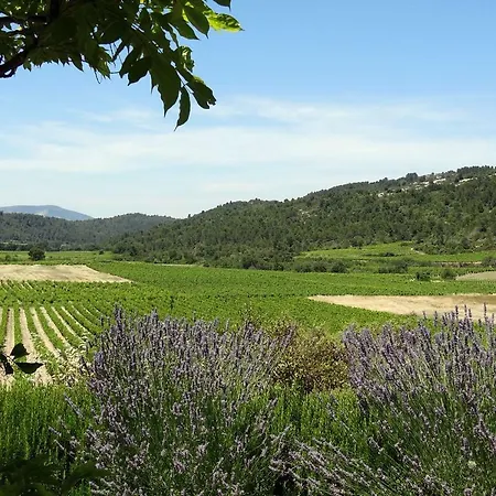Syrah Avec Piscine Privee Chauffee A 25 Km De La Villa Coustouge